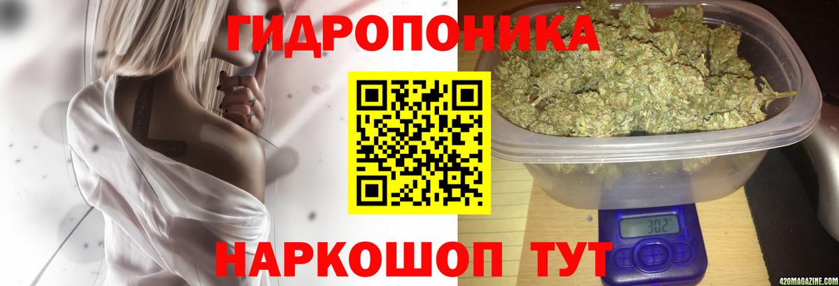 Бошки Шишки Bruce Banner Благодарный